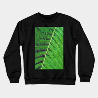 Summer Fern Crewneck Sweatshirt